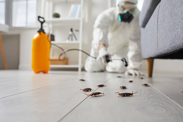 Commercial Kitchen Cockroach Control in Dellwood